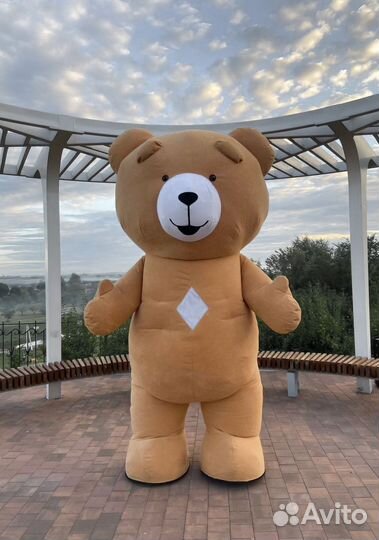 Костюм Коричневого Мишки. Аэрокостюм