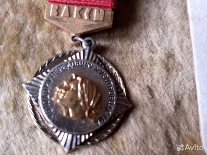 Значки цк влксм