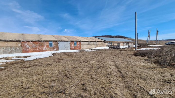 Животноводческая ферма