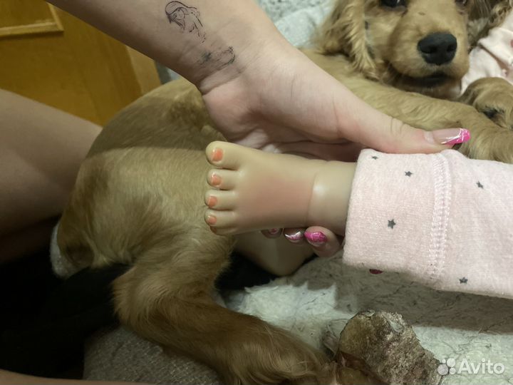 Кукла реборн девочка с одеждой