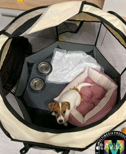 Дом для собаки и кошки