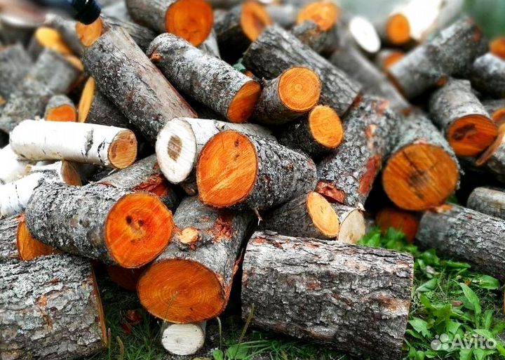 Дрова Береза