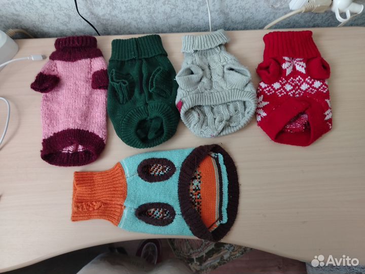 Одежда для собак и кошек