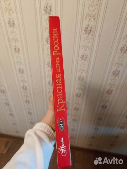 Пескова И. М. 