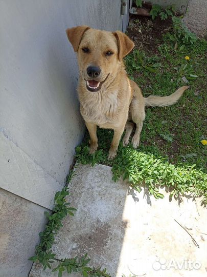 Мальчик подросток