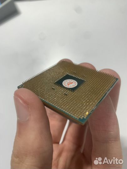 Ryzen 5 3600