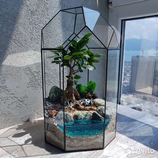 Подарок, флорариум