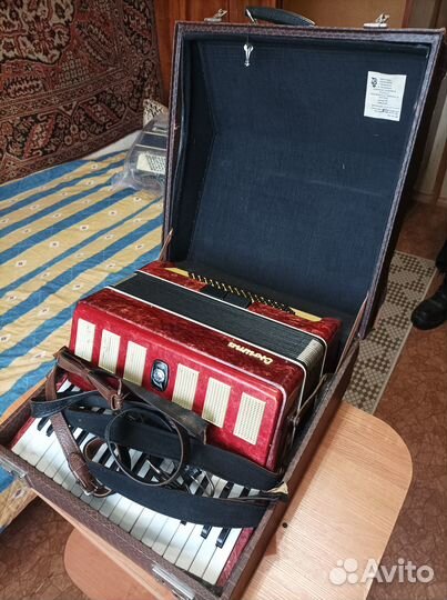 Аккордеон Сюита