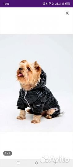 Комбенизон для собачки