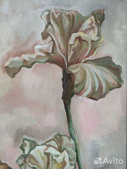 Картина нежные ирисы