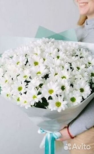 Хризантема Доставка цветов Букеты