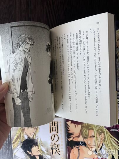 Клин любви. Ai no kusabi