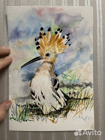Картина акварелью «Удод»