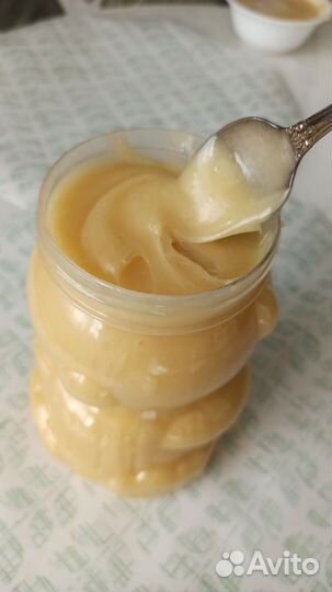 Натуральный мед от пчеловода, донник и эспарцет