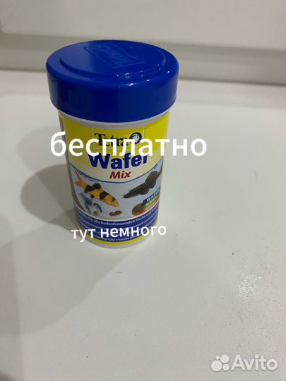 Для аквариума