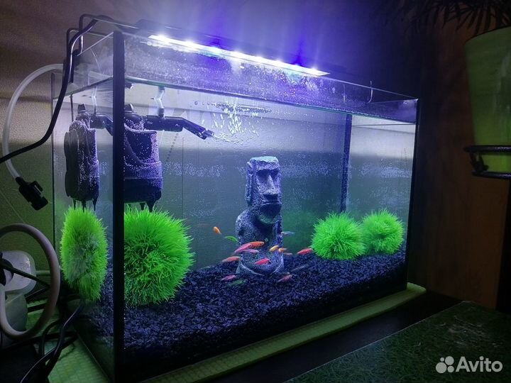 Аквариум 20 литров с рыбками и всем остальным