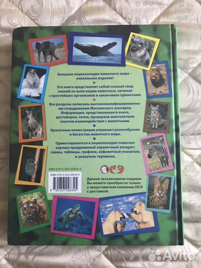 Большая энциклопедия Животного мира