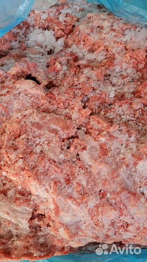 Корм для животных