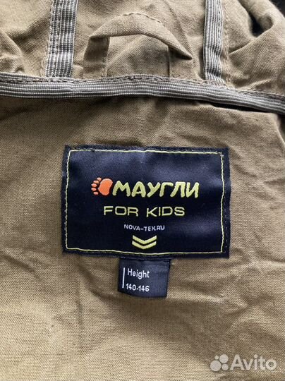 Инцефалитка