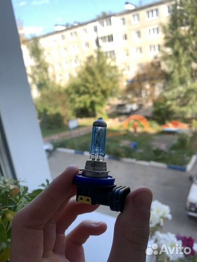 Лампа xenite H8