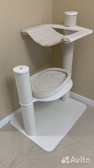 Кошачий комплекс