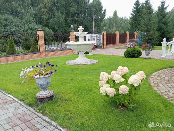 Посев газона.Ремонт, восстановление,чистка газона