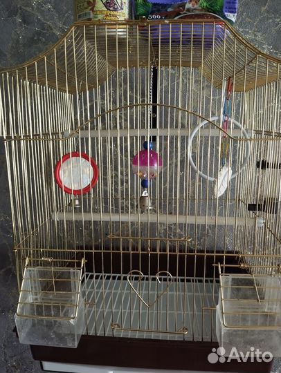 Клетка для попугая