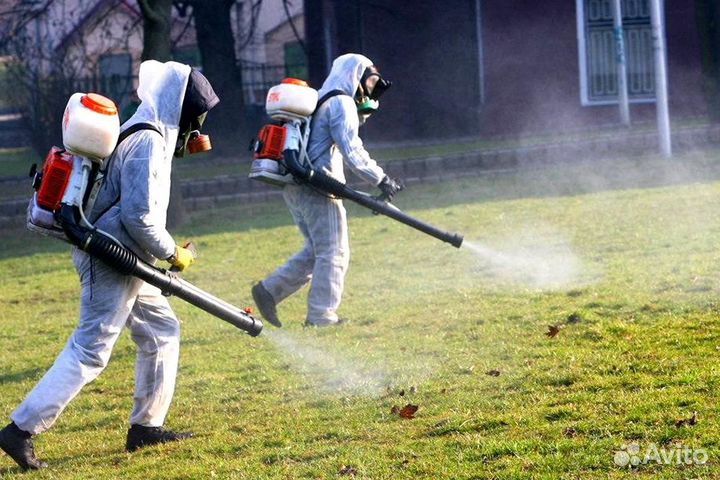 Уничтожение клопов тараканов клещей