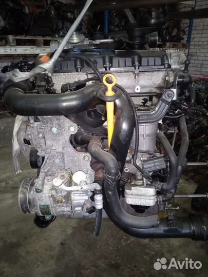 Двигатель Volkswagen Touran 2005г. BKC