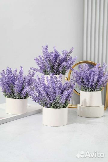 Искусственная лаванда в гипсовом горшке