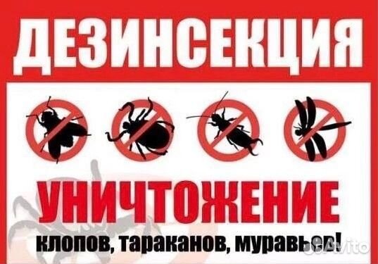 Дезинфекция клопов тараканов