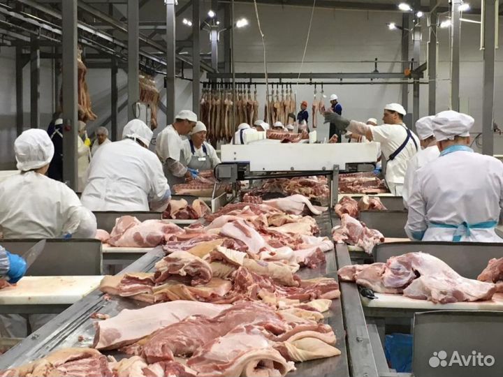 Разнорабочий на мясокомбинат / Пенза