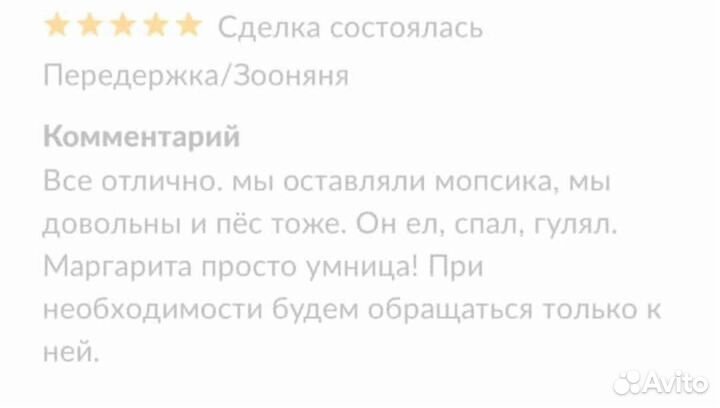 Передержка/Зооняня