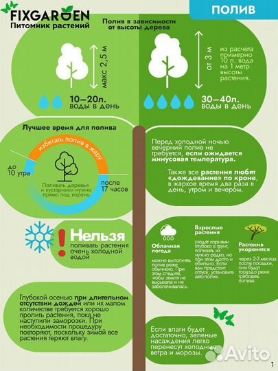 Можжевельник казацкий Высота от 25см