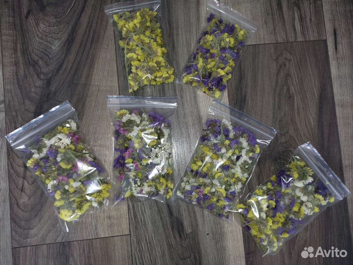 Сухоцветы для творчества Статица