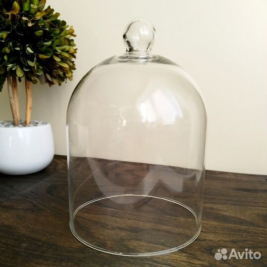 Клош стекло