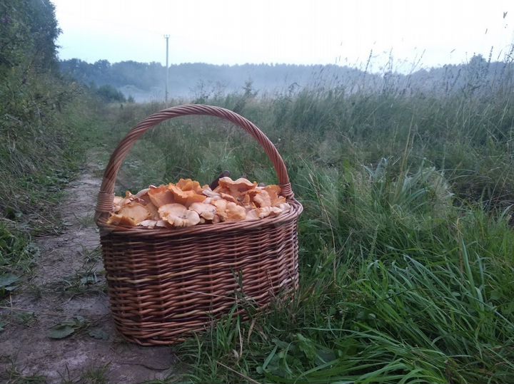 Дом 180 м² на участке 15 сот.