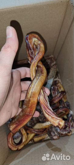 Сушёные лакомства для собак