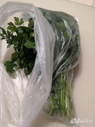Сельдерей, петрушка