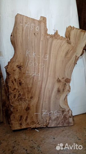 Слэб карагач