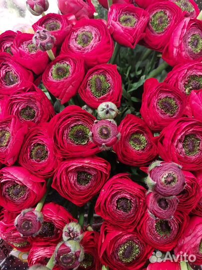 Доставка цветов и букетов