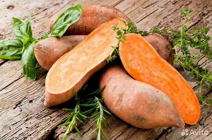 Рабочие на сбор урожая