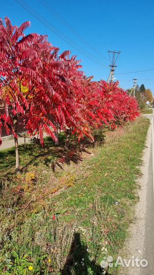 Отдых в горах Адыгеи