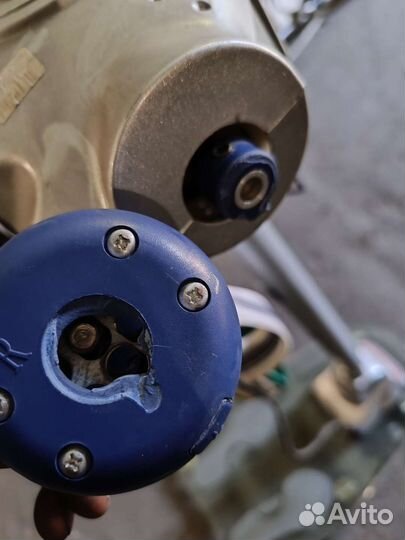 Жопотряска