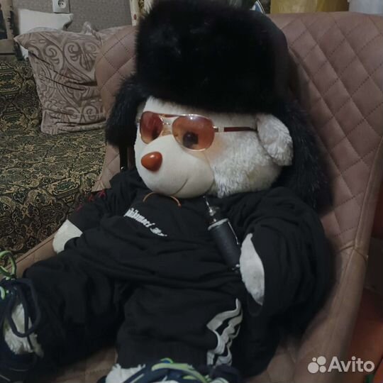 Медведь hikikomori kai limited