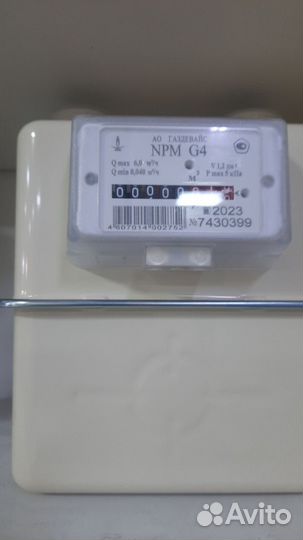 Газовый счетчик NPM G4