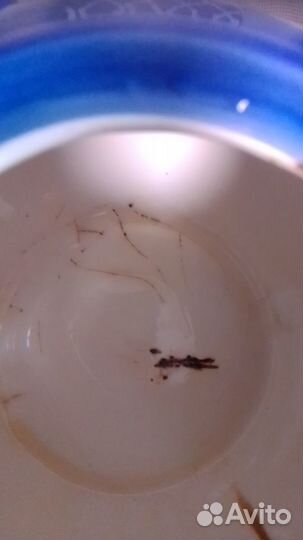 Чайник для заварки и сахарница набор