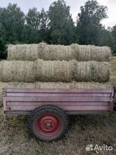 Сено в рулонах