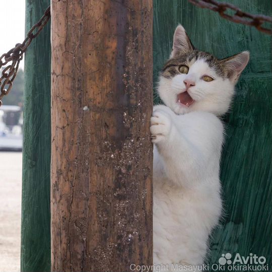 Скидка мвидео, эльдорадо