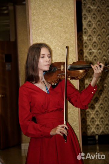 Скрипачка на праздники